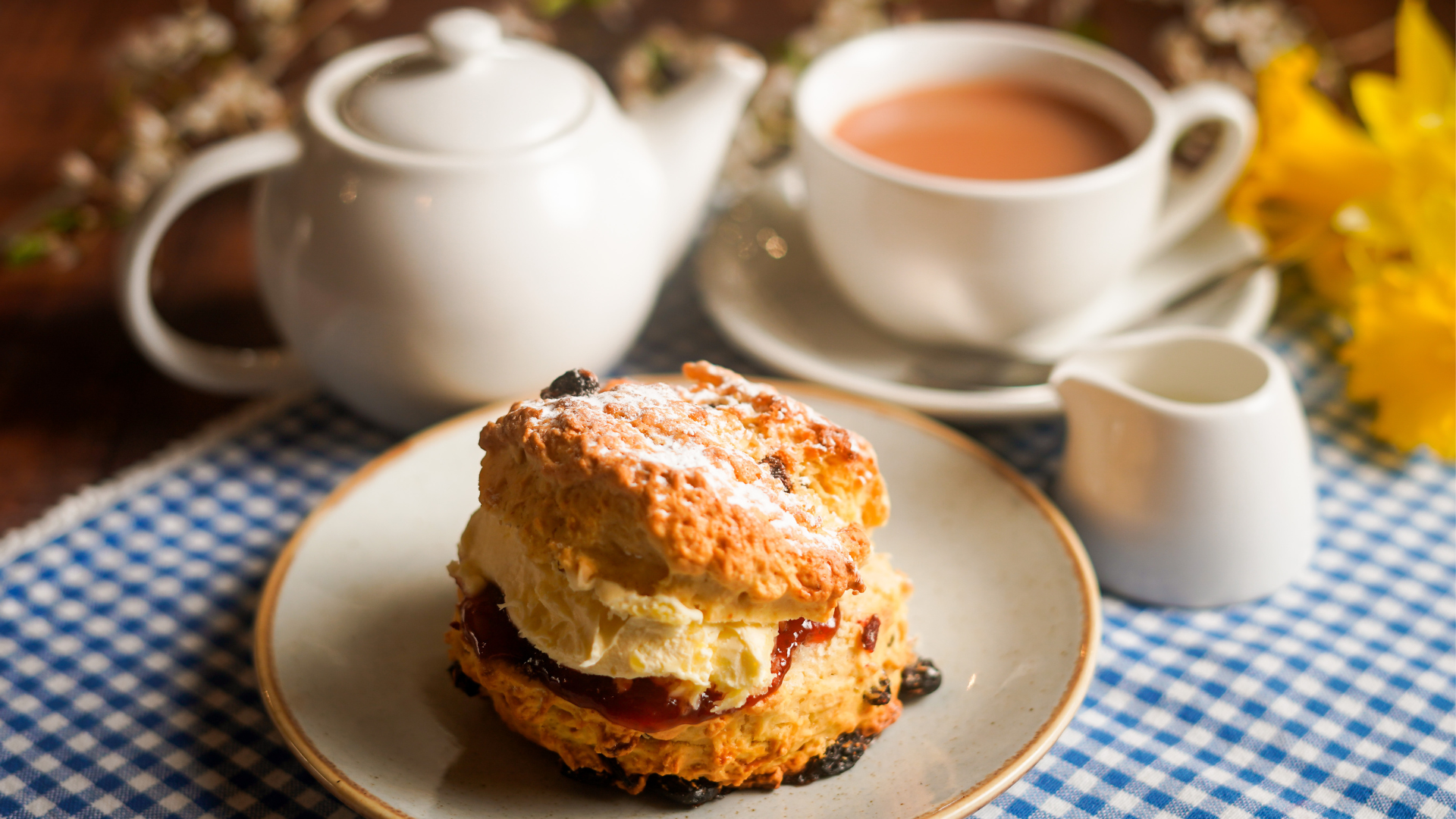 Fruit Scone with Cream and Jam on table with pot of tea and cup